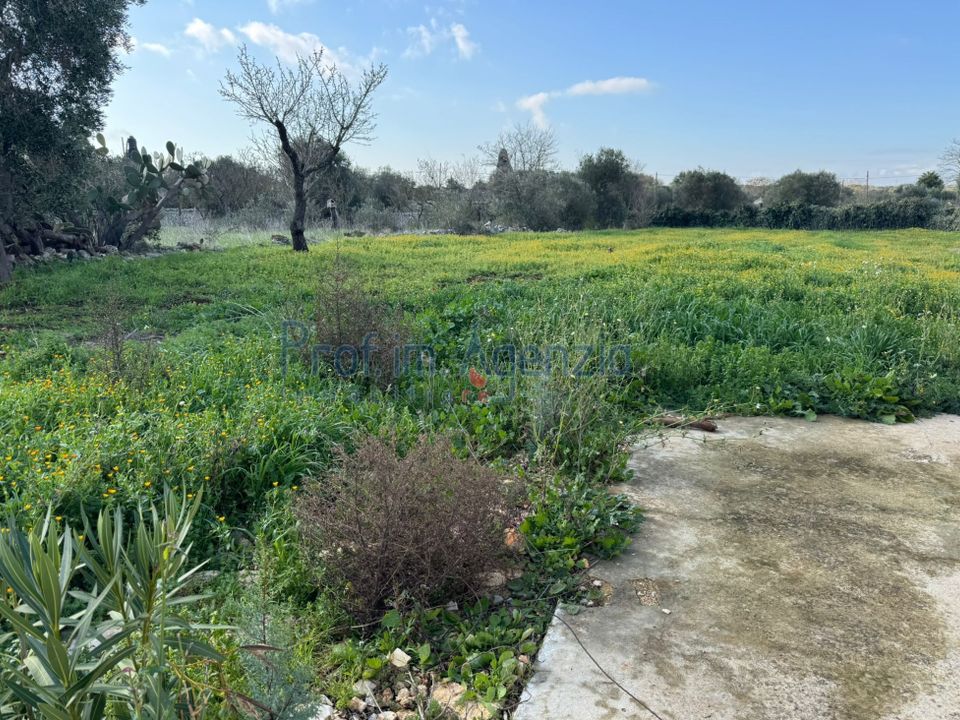 Landejendom i Carovigno, Brindisi - foto 4